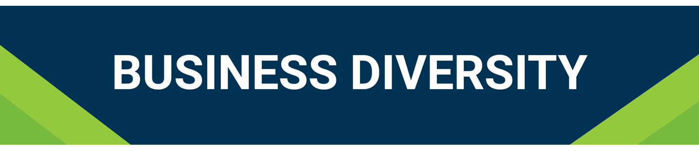 banner illustration with the words business diversity in white font on a navy blue background