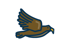 Falcon graphic Falcon graphic