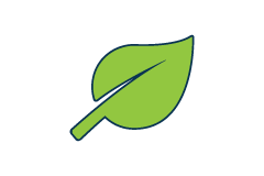 Green Team graphic Green Team graphic